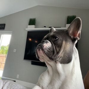 Meet your Posher, Johanna